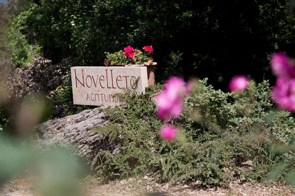 Novelleto Monteriggioni Exterior foto