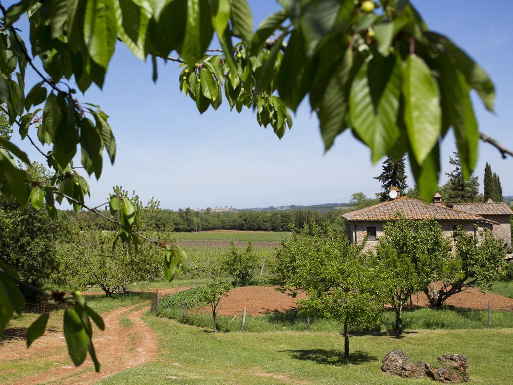 Novelleto Monteriggioni Exterior foto