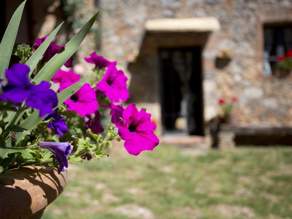 Novelleto Monteriggioni Exterior foto