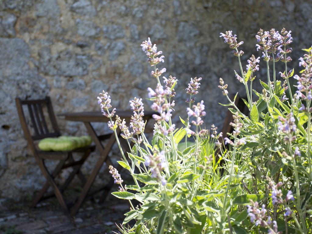 Novelleto Monteriggioni Exterior foto