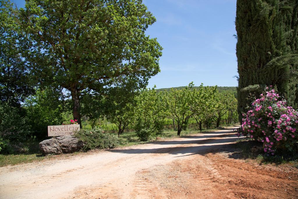 Novelleto Monteriggioni Exterior foto